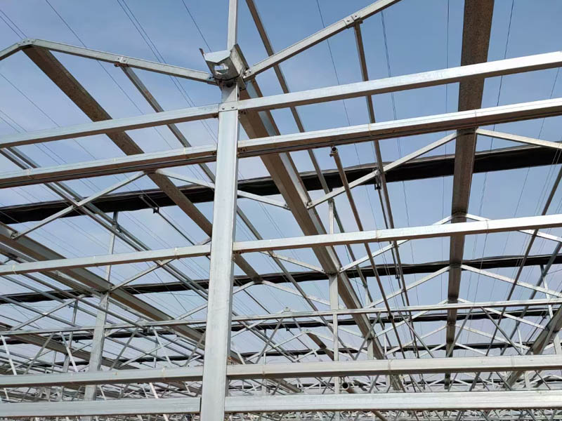 智能溫室大棚建設廠家