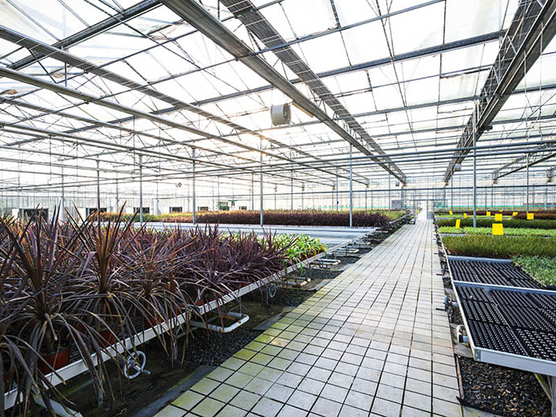 智能溫室大棚建設(shè) 智能溫室大棚建設(shè)