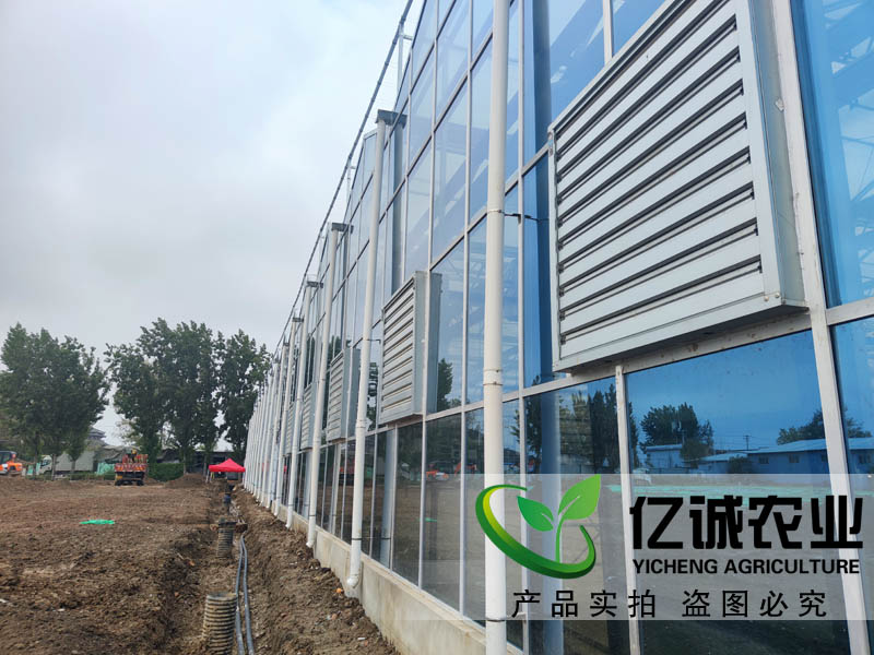 現代化智能溫室大棚建設應用于蔬菜種植產量高，可使收獲期提前