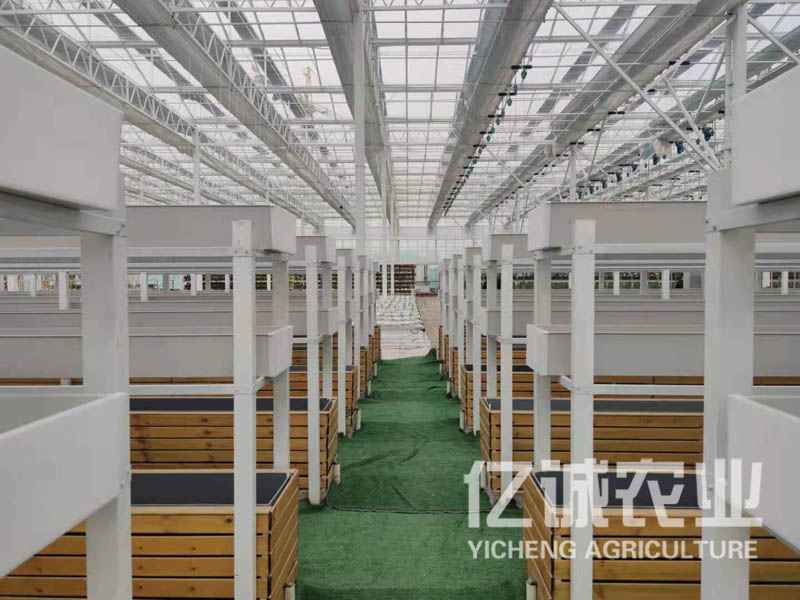 智能化連棟溫室大棚 智能化連棟溫室大棚