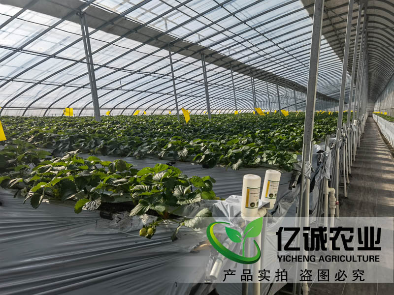 智能溫室大棚承建 智能溫室大棚承建