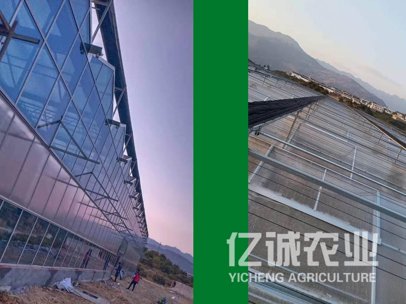 智能溫室大棚 智能溫室大棚