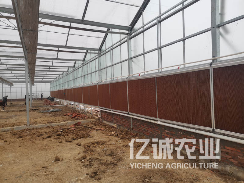 智能溫室大棚 智能溫室大棚