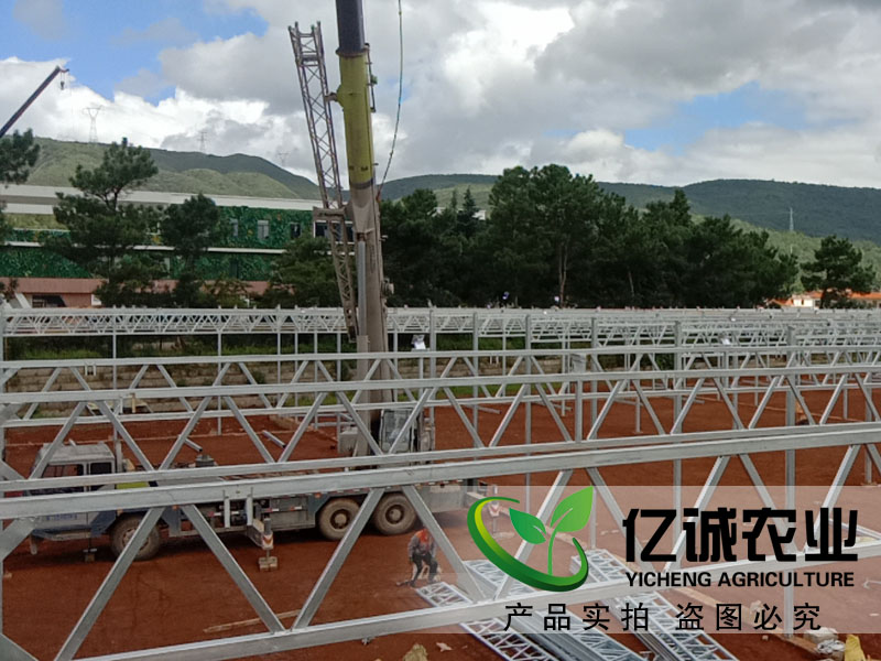 建一畝地溫室大棚多錢? 建一畝地溫室大棚多錢?