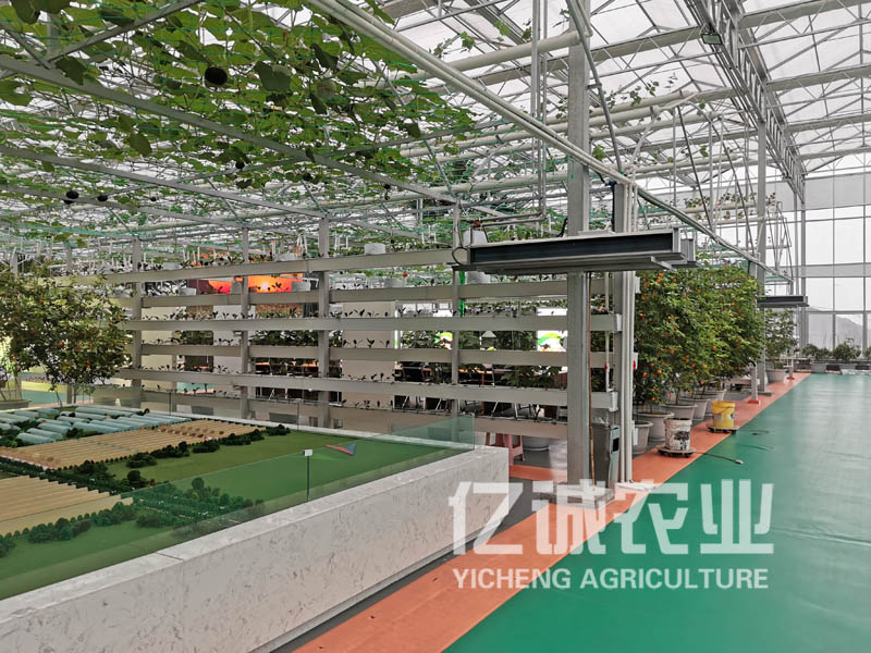 智能溫室大棚種植 智能溫室大棚種植