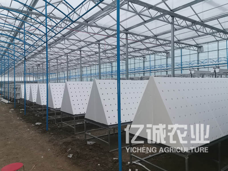 薯類作物的溫室大棚怎么建設(shè)？造價(jià)高不高？