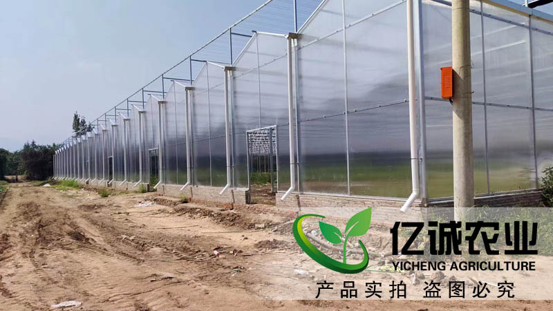 陽光板溫室大棚 陽光板溫室大棚