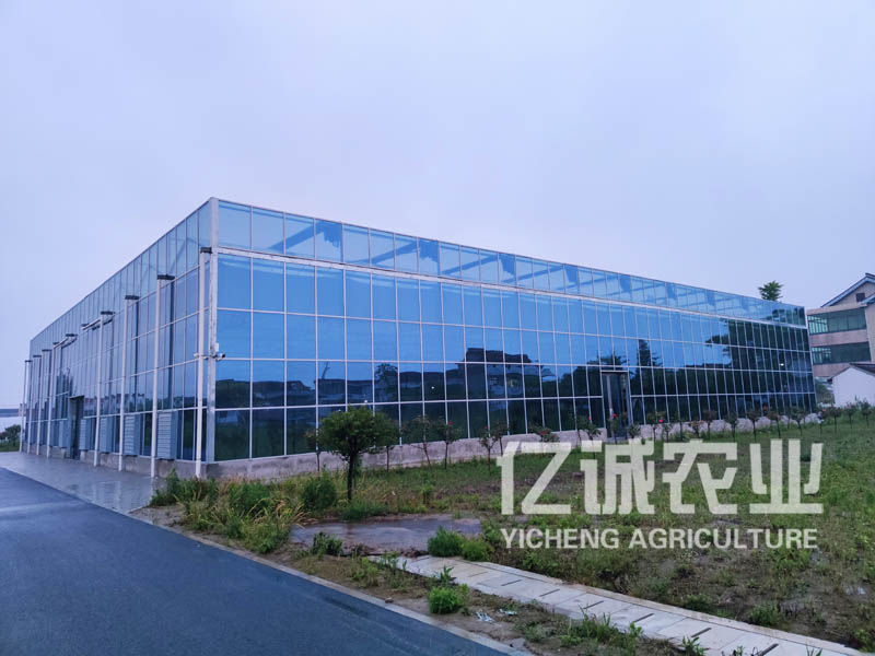 玻璃溫室工程建設(shè) 玻璃溫室工程建設(shè)