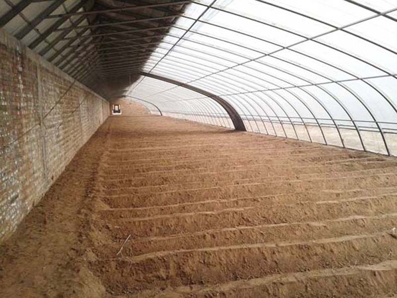 日光溫室暖棚建設(shè) 日光溫室暖棚建設(shè)