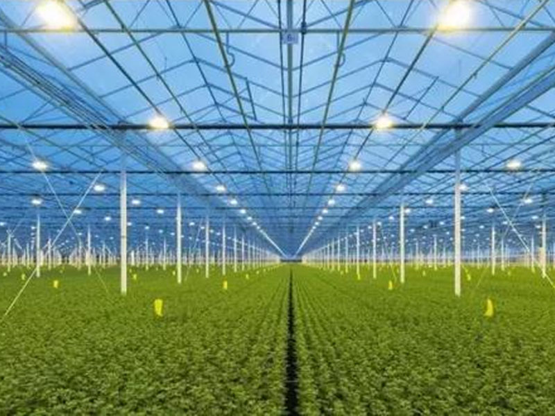 荷蘭溫室建設廠家