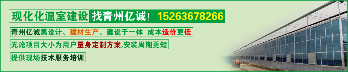 溫室大棚 溫室大棚